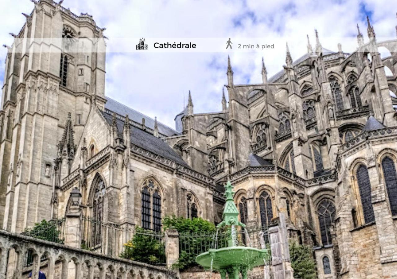 Le Cosy-Chic, 2 Min A Pied Cathedrale , Jacobins Διαμέρισμα Λε Μανς Εξωτερικό φωτογραφία
